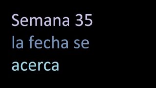 Semana 35 de embarazo la fecha se acerca [upl. by Etnuad]