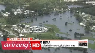 Florida reels after Hurricane Irma [upl. by Juana]