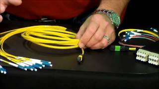 MTP Breakout Cables Video [upl. by Renelle422]