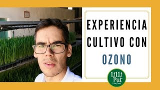 Cultivo de germinados y brotes con OZONO [upl. by Lunneta]