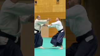 wwwaikikaisk  Slovak Aikido Association  Aikikai Slovakia [upl. by Ellerud]