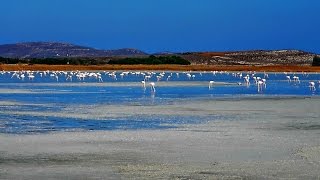 Lemnos Greece Asprolimni  AtlasVisual [upl. by O'Hara]