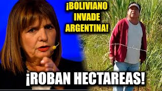 💥BOLIVIANO ROBA 2500 HECTÁREAS Y LOS ANEXA A BOLIVIA 💥BULLRICH LOS SACA CAGANDO [upl. by Kalmick]