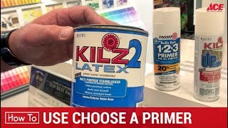 How To Choose A Paint Primer  Ace Hardware [upl. by Colbye]