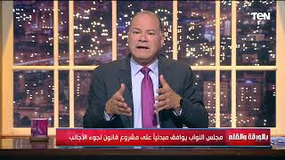 الديهي يعلن خبر هام بخصوص اللاجئين في مصر [upl. by Nira588]