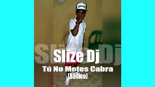 Slize Dj  Tú No Metes Cabra Básico [upl. by Erotavlas]