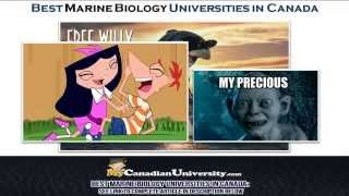 Best Marine Biology Universities In Canada [upl. by Airekal]