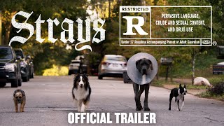 Strays  Official Fing Trailer HD [upl. by Godwin]