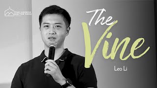 The Vine  Leo Li [upl. by Assirak325]