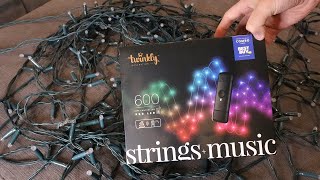 1200 Twinkly Lights on Tree  600 Twinkly Light  Music Review [upl. by Aneras138]