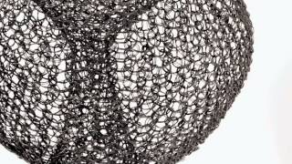 Ruth Asawa Objects amp Apparitions [upl. by Artapoelc]