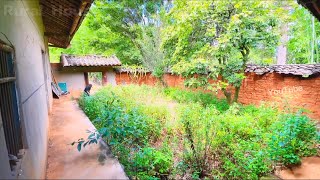 Army retired man buys an abandoned house and restores it into a beautiful garden courtyard [upl. by Scholz]