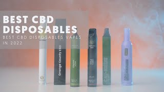 Best CBD Disposables 2022 [upl. by Retsek]