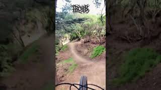 Te Tuarā jump line progress mtb wellington jumps mountainbiking mtblife flowtrail jumpline [upl. by Haney]