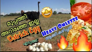 Big Ostrich Egg Omelette  Cooking Skill  Ostrich Egg Recipe  ഒട്ടകപക്ഷിയുടെ മുട്ട 🥚🥚 [upl. by Tloh]