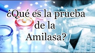 ¿Qué es una prueba de amilasa [upl. by Ammamaria]