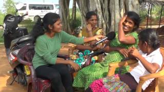 Vanakkam Thainadu  Veemankamam Pongal  Jaffna  Paraparapu Media  Episode 4014 [upl. by Naujled437]