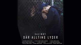 Saliboy  Album DÄR ALLTING LYSER [upl. by Gudrun755]