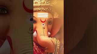 Bolo jai shree ganesh religionbhakti viralreels viralshort shortsfeed shorts viralshorts [upl. by Anelrad]