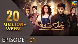 Pyar Ke Sadqay Episode 1 HUM TV Drama 23 January 2020 [upl. by Ameer131]