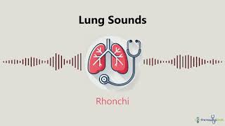 Lung Sounds Rhonchi [upl. by Merlina]