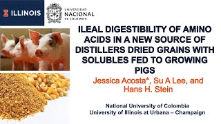 Ileal digestibility of amino acids in a new source of DDGS fed to growing pigs [upl. by Daughtry]