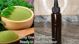 How to Make Moringa Oil for Hair Growth [upl. by Macmullin]