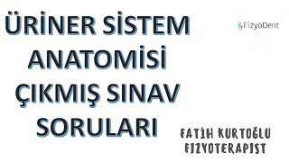 Üriner Sistem  ANATOMİ ÇIKMIŞ SINAV SORULARI I vize final  sistemler [upl. by Ebner]