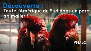 Découverte  toute lAmérique du Sud dans un parc animalier [upl. by Anika401]