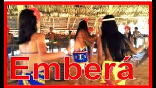 Panamás Emberá Tribe Un baile de los Emberá [upl. by Esile787]