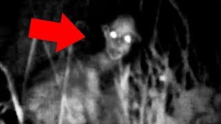 5 Mysterious Creatures Caught On Camera  Top 5 STRANGE Creatures [upl. by Annekam828]