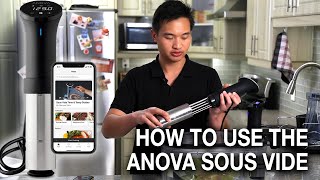 How to Use the Anova Sous Vide Precision Cooker [upl. by Nihs]