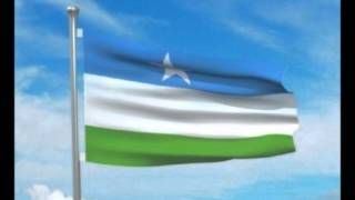 Puntland Flag [upl. by Itin]