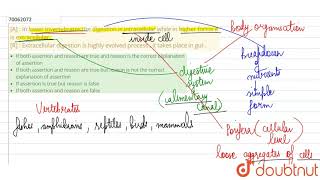 A  In lower invertebrates the digestion is intracellular while in higher forms it is [upl. by Cristy119]