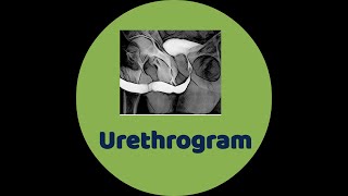 Urethrogram [upl. by Yulma]