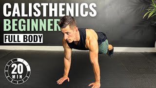 20 Min BEGINNER CALISTHENICS WORKOUT at Home  No Equipment [upl. by Enhpad]