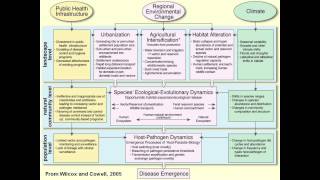 Zoonoses lecture Melissa Leach [upl. by Granny]