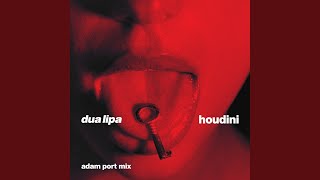 Houdini Adam Port Mix [upl. by Aramo]