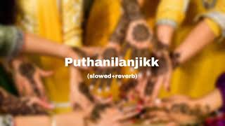 puthanilanjikk slowedreverbmailanji monjulla veedmalayalam slowed song [upl. by Parker]