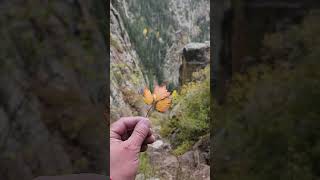 Fall In The Sandia Mountains newmexico fall hiking nature laluz [upl. by Orazio]