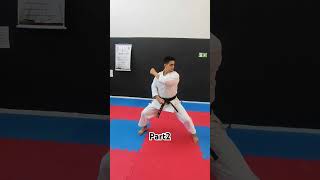 GANKAKU kata shotokan part2 [upl. by Carolynn256]