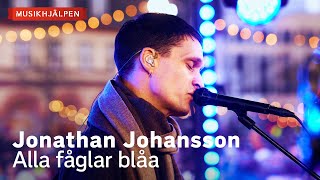 Jonathan Johansson  Alla fåglar blåa  Musikhjälpen 2023 [upl. by Kan]