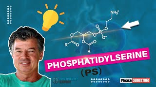 Phosphatidylserine [upl. by Juan]