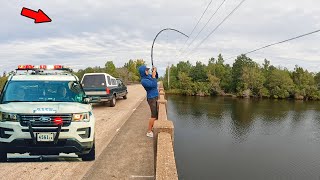 Trying to Catch Dinner at a Crowded HWY Bridge [upl. by Hurley962]