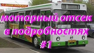 Автобус ЛИАЗ 5256 [upl. by Aer]