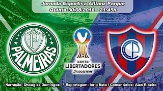 Palmeiras 0x1 Cerro Porteño  Libertadores da América [upl. by Cowey]