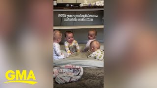 1yearold quadruplets already know exactly what to do to make each other laugh [upl. by Desberg]