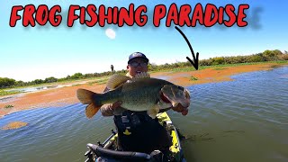 Epic Frog Fishing DayNon Stop Action [upl. by Arlo]