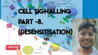 cell signalling part 8 Desensitisation csirdbt iisc [upl. by Hentrich]