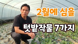 2월 심을 텃밭작물 7가지는 씨앗파종 시기 [upl. by Indira]